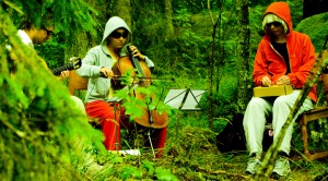 Forest gig 2008